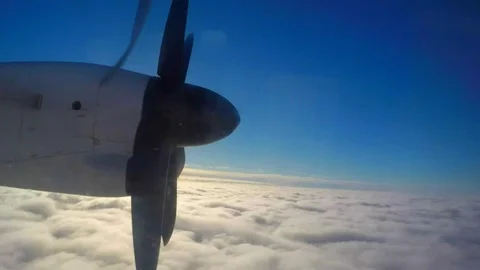 Cessna 172 training plane landing scene. Stock Footage 109426089
