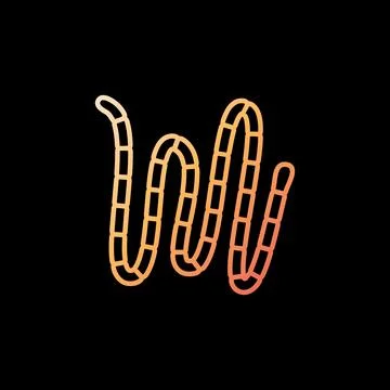 Cestoda Tapeworm vector concept yellow outline icon or symbol Illustration