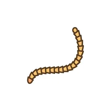 Cestoda vector Parasitic Worm concept colored icon Illustration