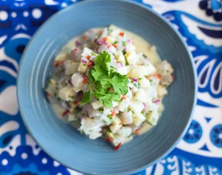 CEVICHE-2 Stock Photos