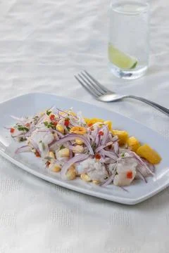 Ceviche, typical fish-based dish of Peruvian cuisine, presented in a rectan.. Stockfoto's