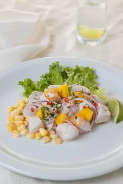 Ceviche, typical fish-based dish of Peruvian cuisine on white plate. Stock Photos