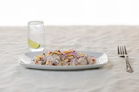 Ceviche, typical fish-based dish of Peruvian cuisine, presented in a rectan.. Stock Photos