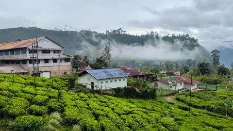Ceylon black tea processing factory, workers houses and tea plantation estate Stock Footage 314653291