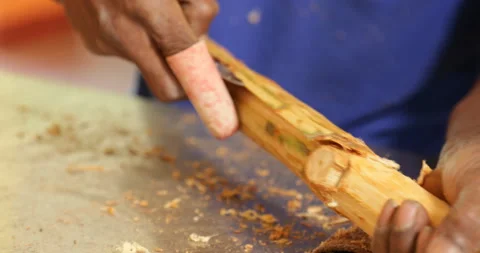 Ceylon Cinnamon - hands stripping bark close up frame Vidéo 170681450