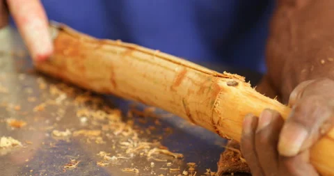 Ceylon Cinnamon - hands stripping bark close up 스톡 동영상 170681554