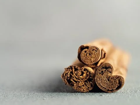 Ceylon cinnamon sticks on gray background Photos