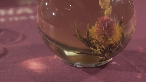 Ceylon flower tea Stock Footage 75393800