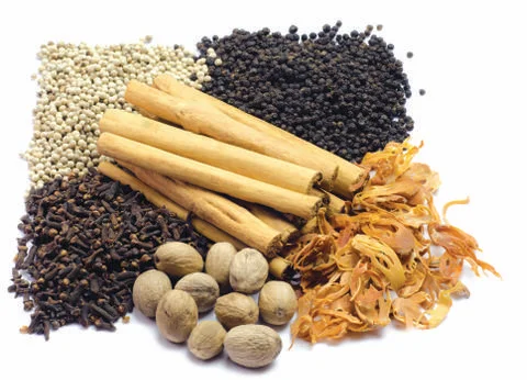 Ceylon Spices Collection in isolate white background. Stock Photos
