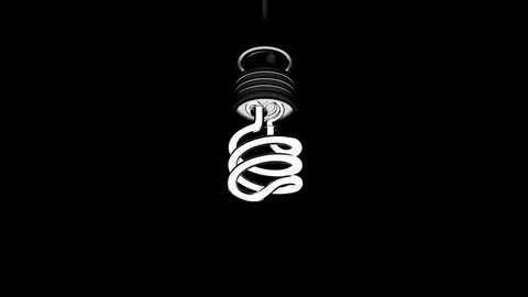 CFL Light Bulb Rotate on Black Background Stock Footage 77678291