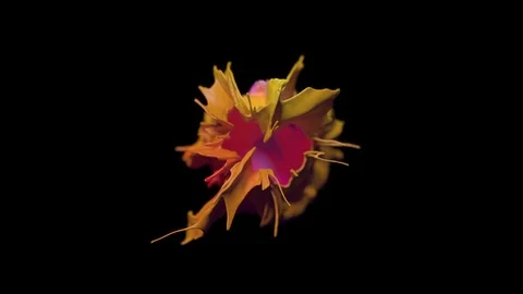 Cg animation of abstract flow on black background. 動画素材 119840495