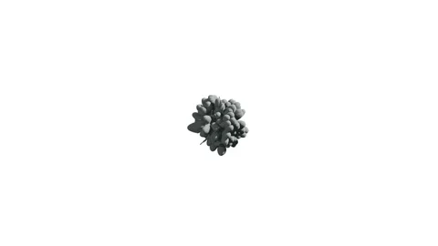 Cg animation of black powder explosion Stock Footage 97646358