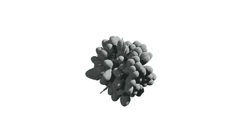 Cg animation of black powder explosion on white background. Stock Footage 97889128