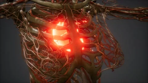 CG Animation Of A Sick Human Heart | Stock Video | Pond5