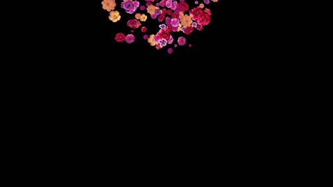 Cg flowers Видео 91383810
