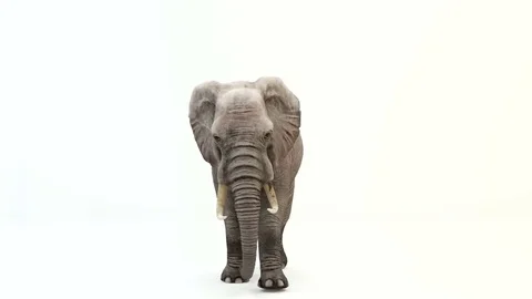CG render of runnig elephant.Loop animation. Video stock 85325436
