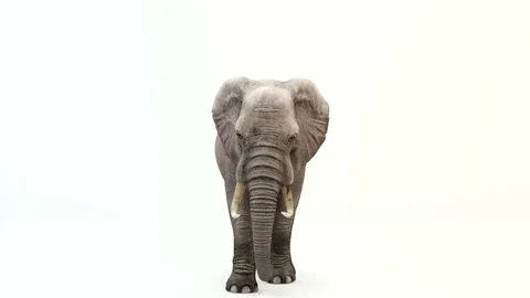 CG render of walking elephant.Loop animation. Stock Footage 85325564
