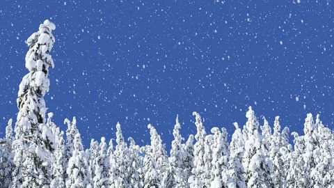 CG Snow Over Blue Sky and Pine Trees Covered in Snow Stock Footage 99027367