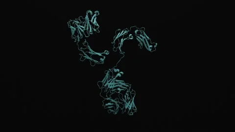 CGI of Antibody Model Appearing Stock Footage 150206948