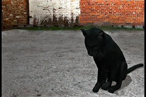 CGI Black Cat Stock Footage 8961203