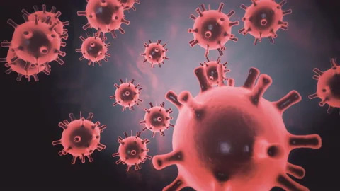 CGI imagery of the COVID-19 coronavirus also known as 2019-nCov and first Stock Footage 147728294