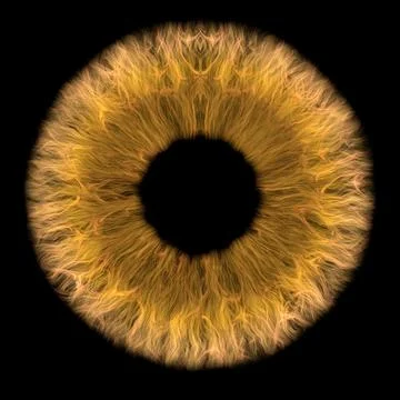 Cgi render image of orange and brown iris in the eye Stock Illustration
