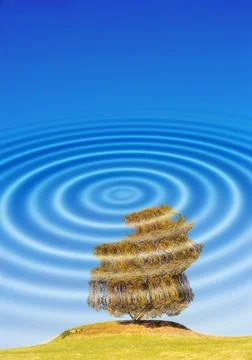 CGI ripple effect of nature scene with white reflection of circle pattern and Stock Photos