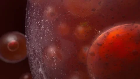 CGI of virus and human cells Stock Footage 88127389