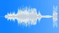 Chacma Baboon Single BriefSound Effect