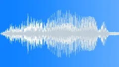 Chacma Baboon Single BriefSound Effect