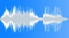 Chacma Baboon Single BriefSound Effect