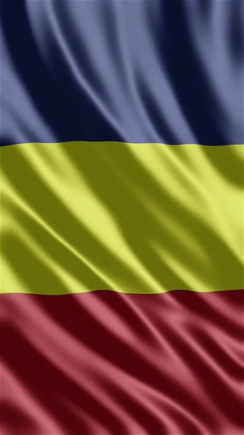 Chad waving flag Stock Footage 288004102
