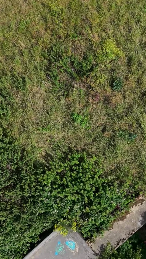 Chadwell Heath ZE1 gun emplacements top-down vertical flyover of WWII Stock Footage 337724367