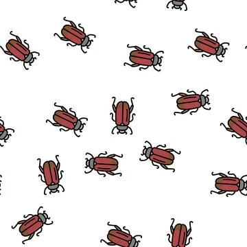 Chafer insect vector seamless pattern Illustrazione stock