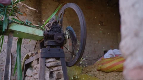 Chaff cutter machine processing fodder for livestock in a rural Punjab setting Stock Footage 321944375