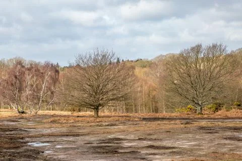 Chailey Common Stock Photos