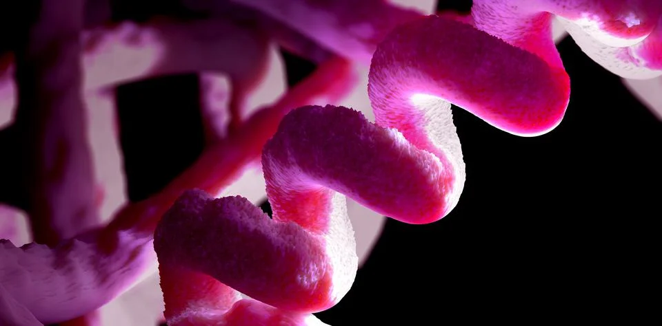 Chain of amino acid or bio molecules called protein - 3d illustration Stock Illustration