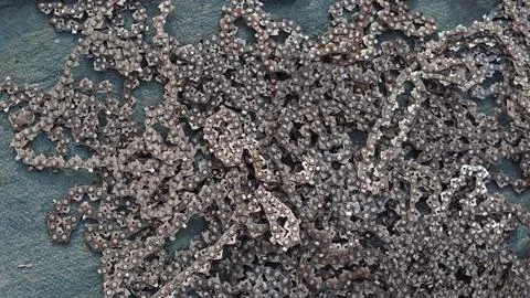 Chain for chainsaw Stock Photos