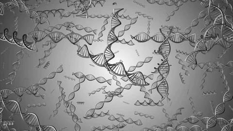 The chain of the DNA rotates. scientific background. seamless loop. Stock Footage 84290462