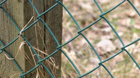 Chain-link fence 2 Stock Footage 50088092
