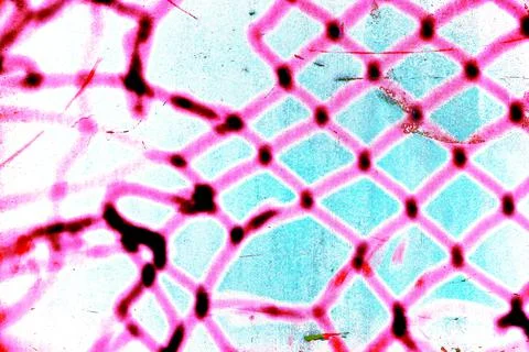 Chain link mesh shadow on the wall, changed colors, colorful background Stock Photos