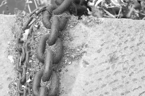 Chain Stock Photos