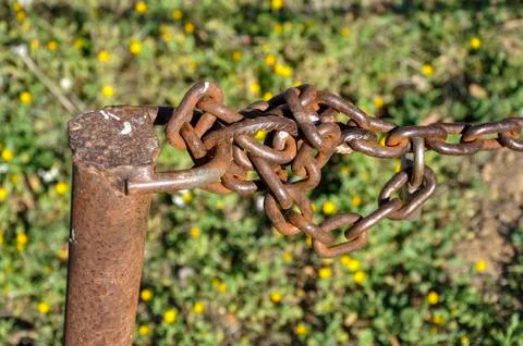 Chain Stock Photos