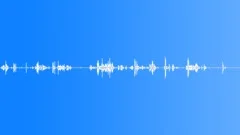 CHAIN, RATTLE Sound Effect