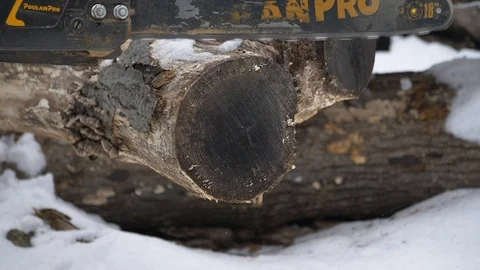 Chain saw cutting down trees stump in slow motion Stock Footage 124939048