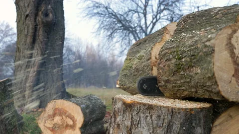 Chain saw cutting a log Stock Footage 166830231