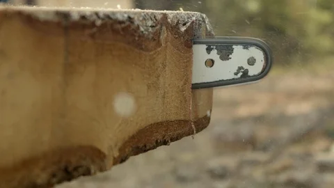 Chain saw cutting through log board HD slow motion Stock Footage 109021589