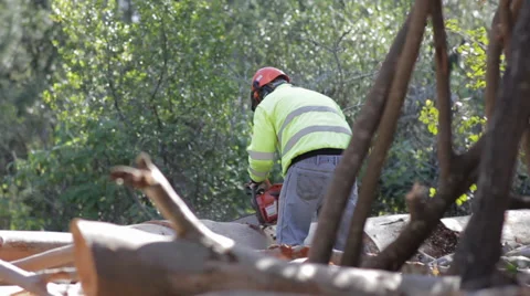 Chain Saw Man Stock Footage 39863800