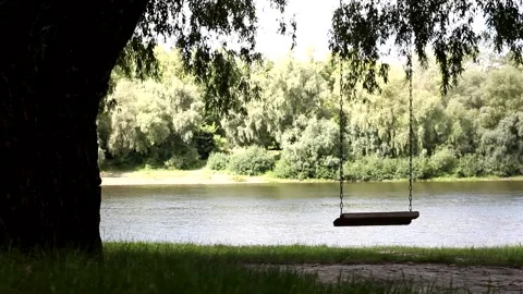 Chain swing on a tree by the river bank. A symbol of loneliness and remembrance. Stock Footage 160204715