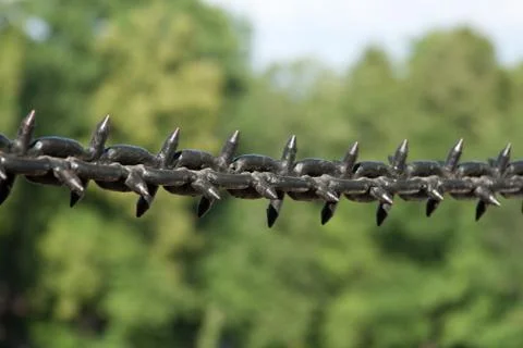 Chain with thorn Stock Photos